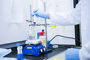 Stem Cells