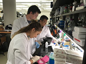 scientists working