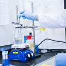 Stem Cells