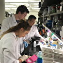 scientists working